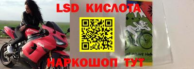 прущие грибы Сланцы