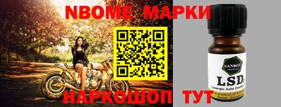 прущие грибы Сланцы