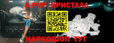 прущие грибы Сланцы