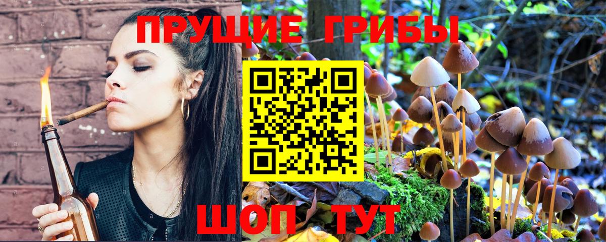 Псилоцибиновые грибы Psilocybe Петропавловск-Камчатский
