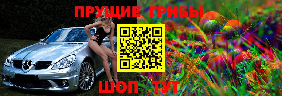 Петропавловск-Камчатский  Псилоцибиновые грибы прущие грибы  Вход с VPN  Галлюциногенные грибы Psilocybine cubensis 